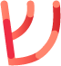 ש