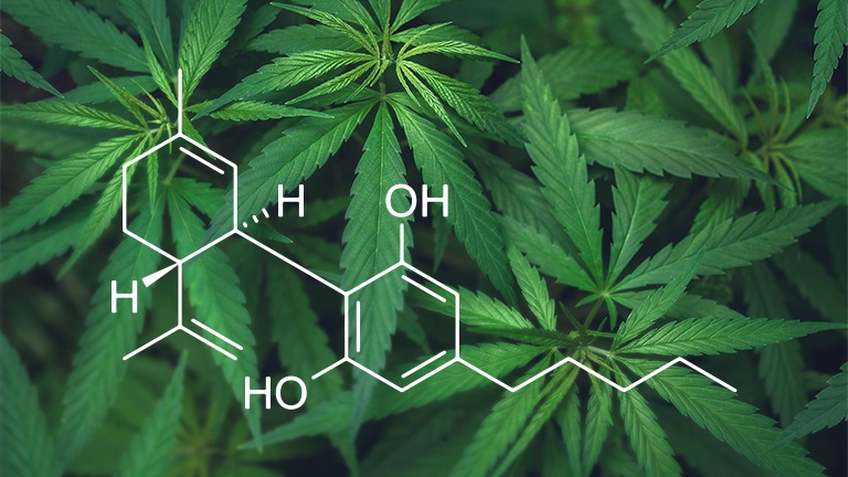 מה זה CBD?